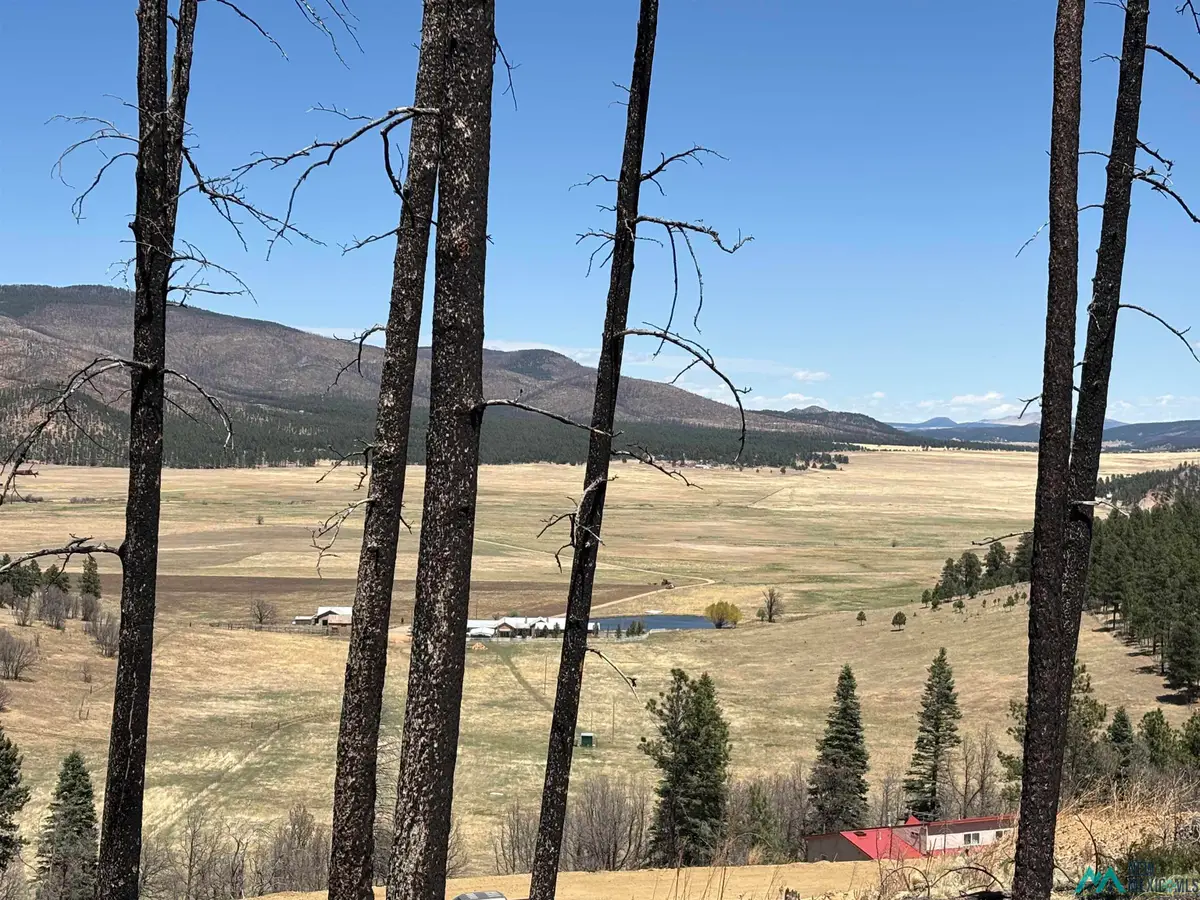 Lots 139-140 Calle De Tecolote Drives, Rociada, NM 87742 - #1