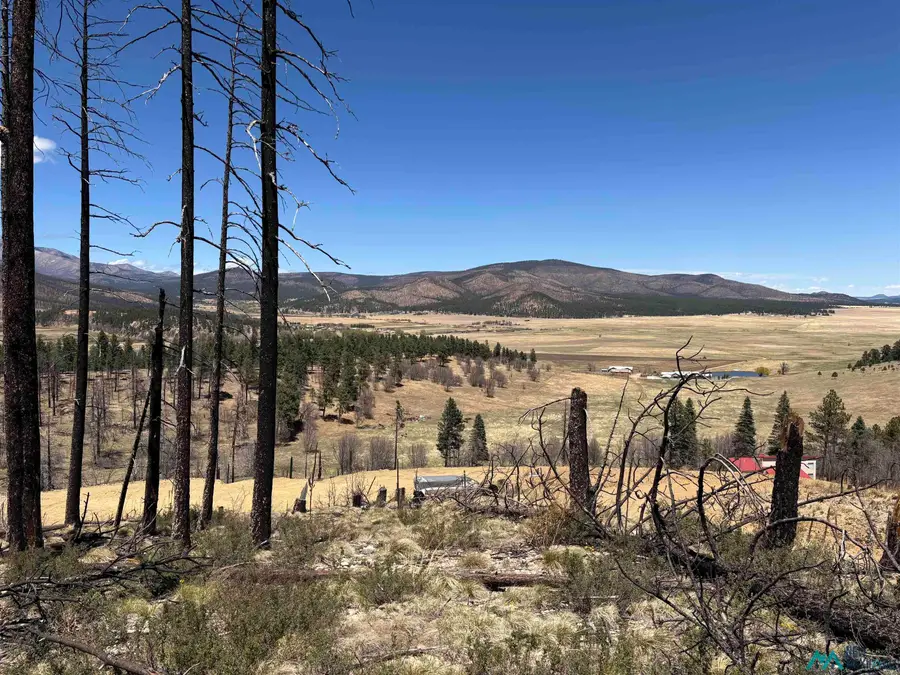 Lots 139-140 Calle De Tecolote Drives, Rociada, NM 87742 - #2