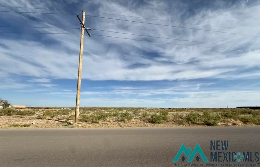 3700 Hidalgo Road, Carlsbad, NM 88220 - #3