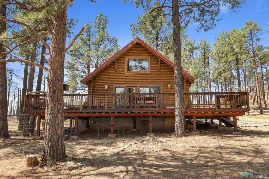 350 County Rd A16c Road, Las Vegas, NM 87701 - #3