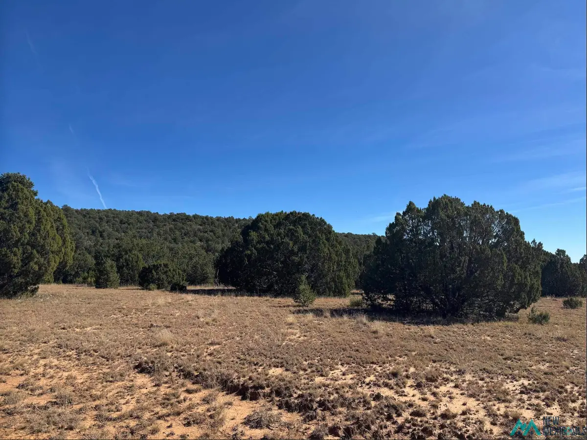 above Serafina Road, Serafina, NM 87569 - #1