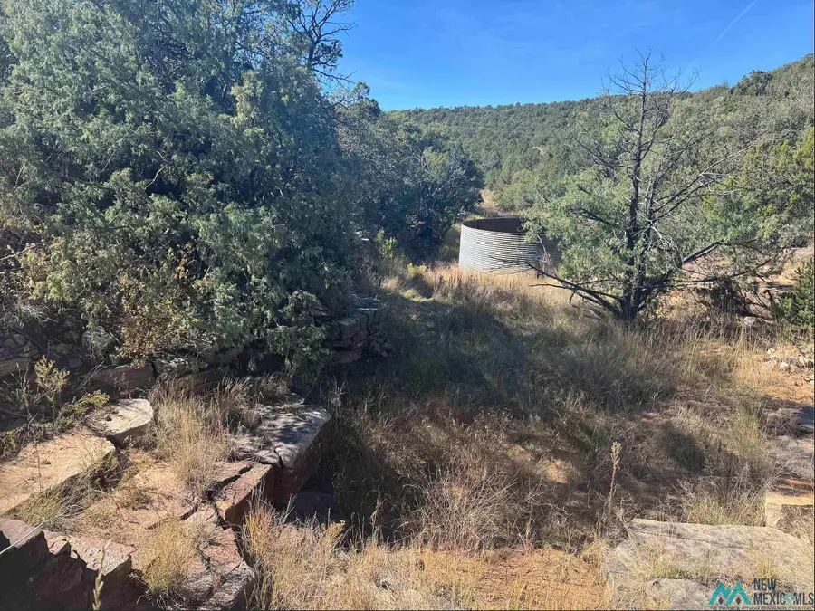 above Serafina Road, Serafina, NM 87569 - #3