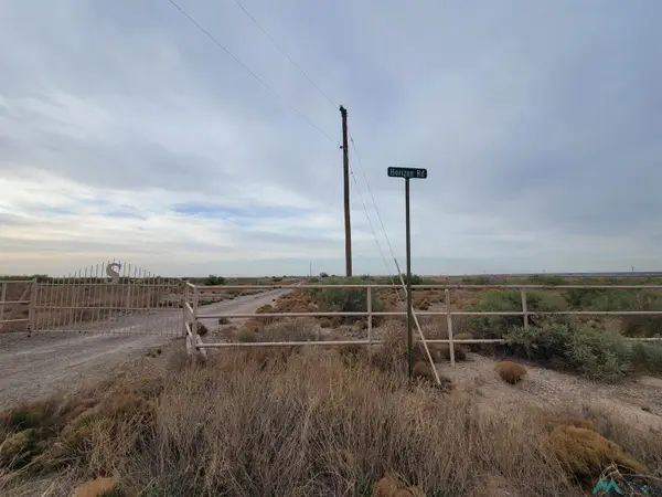 0000 Wrangler Road, Roswell, NM 88201
