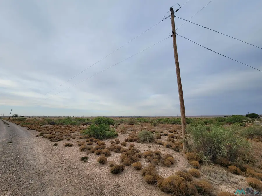 0000 Wrangler Road, Roswell, NM 88201 - #3