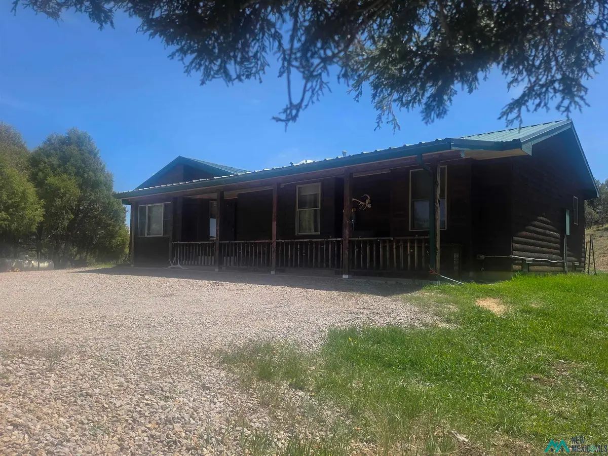 12 Private Drive 1782 Drive, Chama, NM 87520 - #1