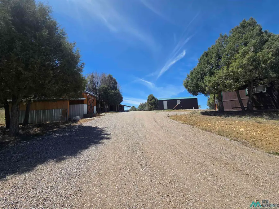 12 Private Drive 1782 Drive, Chama, NM 87520 - #3