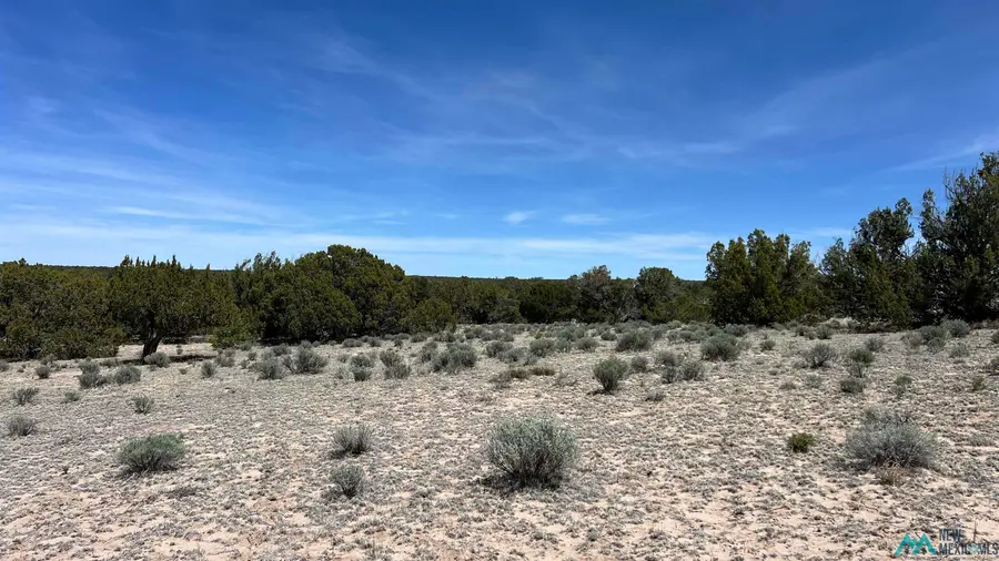 59 Solano Road, Pie Town, NM 87827 - #2