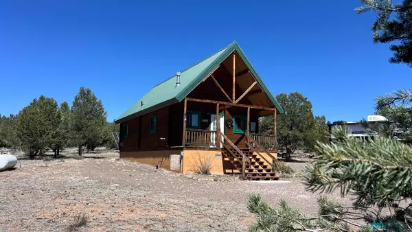 21 Gila Dr Road, Quemado, NM 5
