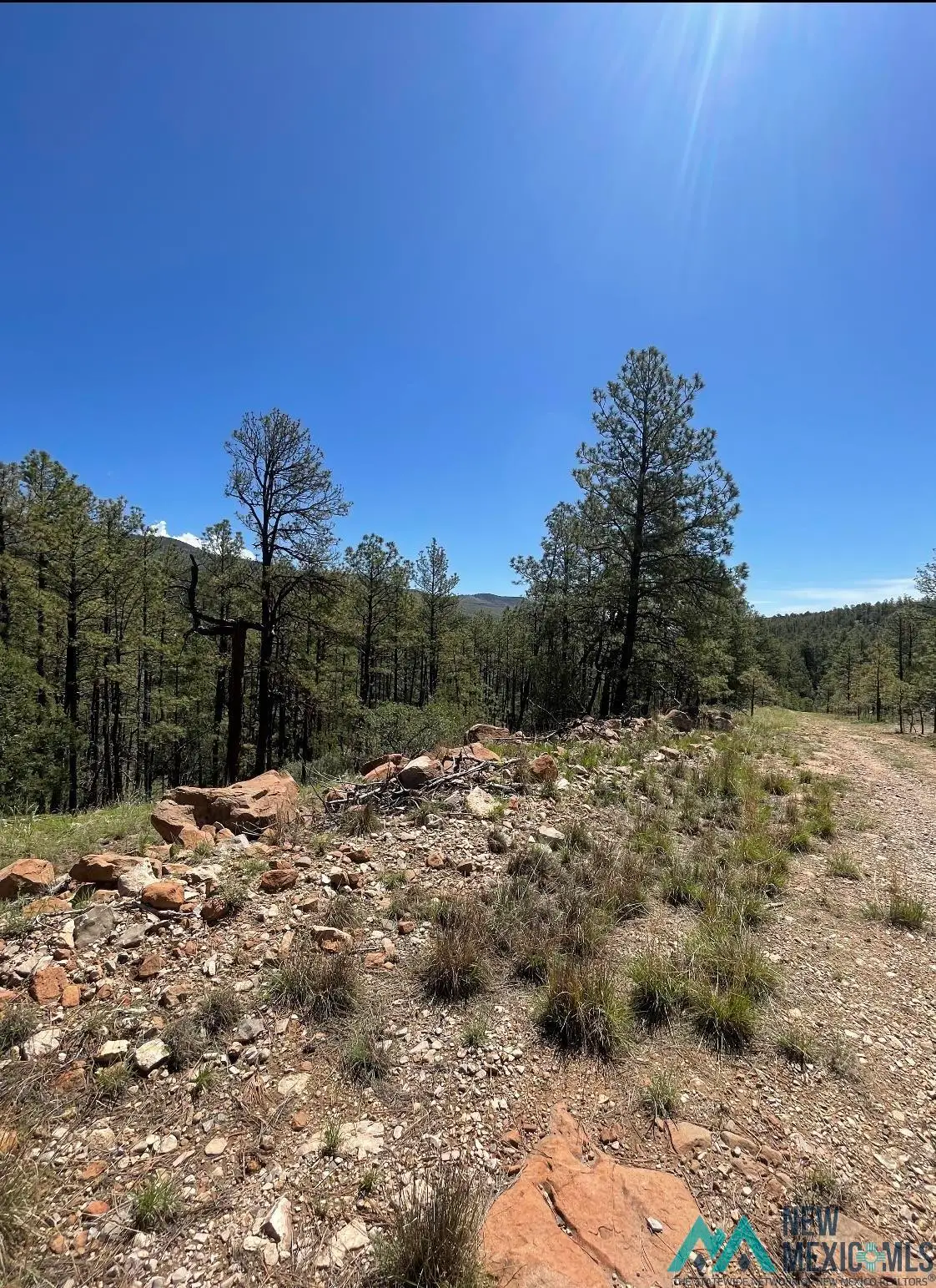 29 Beauregard Drive, Timberon, NM 88350 - #1