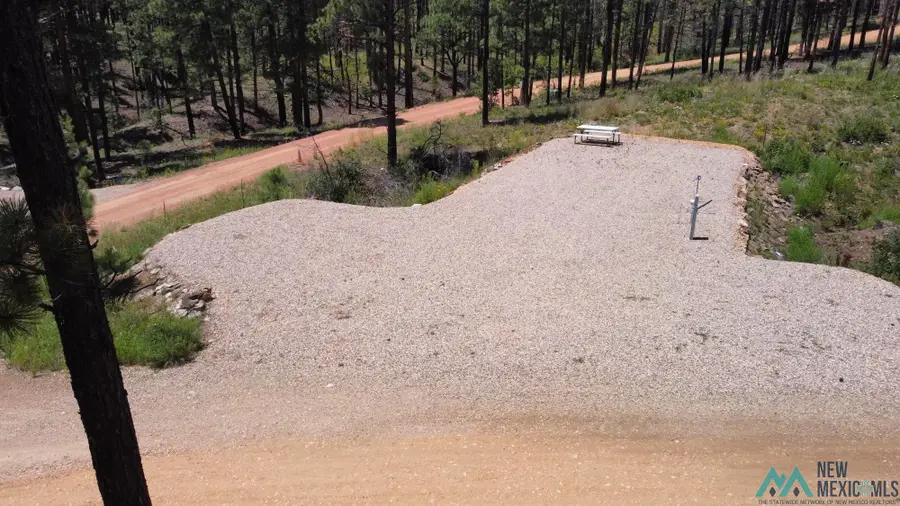 1 Blue Jay Road, Rociada, NM 87742 - #3