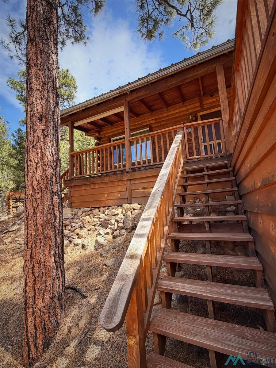 58 Canyon Road, Mora, NM 87732 - #3