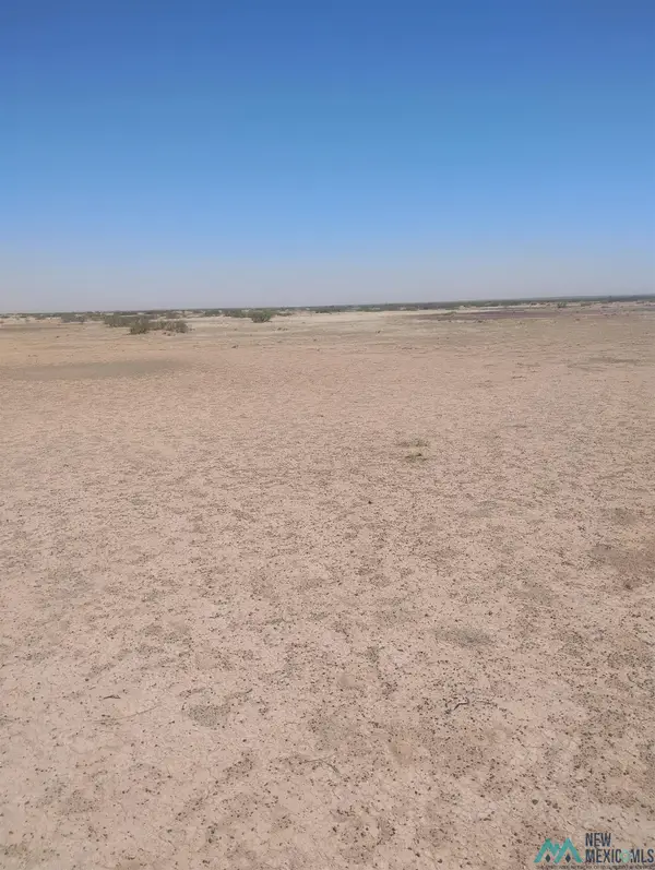 XXXX Camino De Felicidad Se, Deming, NM 88030