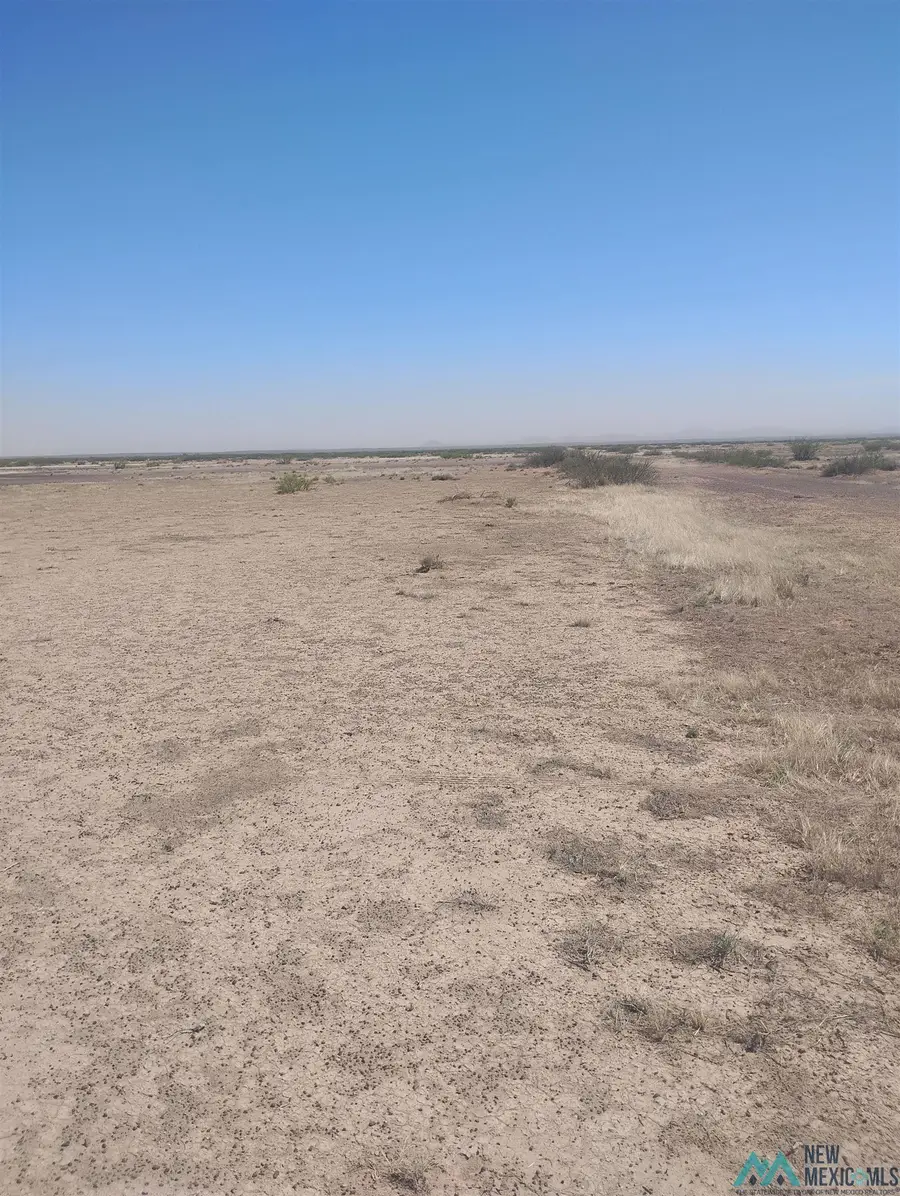 XXXX Camino De Felicidad Se, Deming, NM 88030 - #2