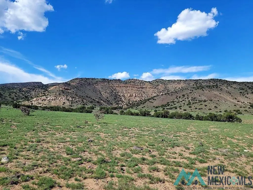 TBD Rinconada, San Fidel, NM 87049 - #1