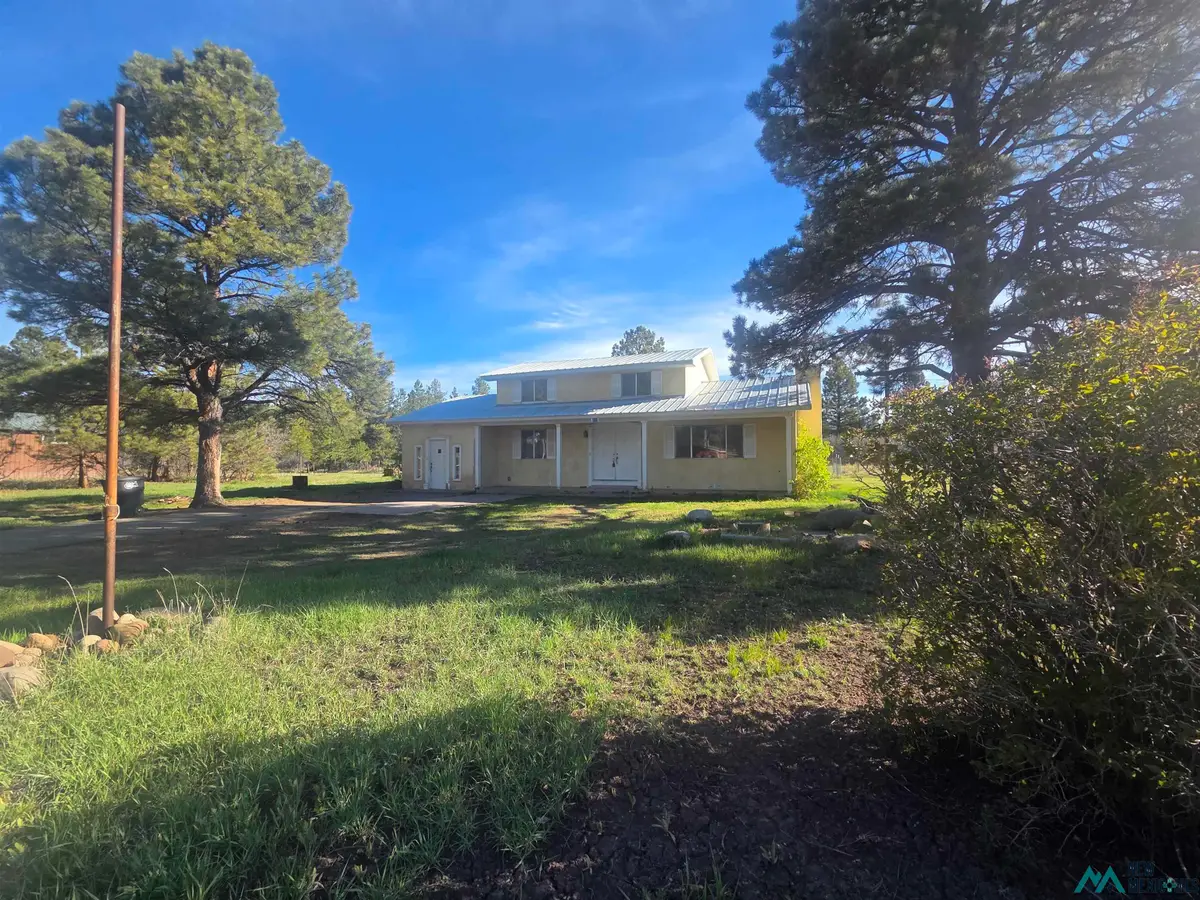111 North Pinon Drive, Chama, NM 87520 - #1