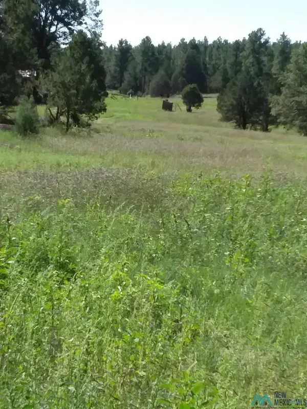 344 Forest Road, Pecos, NM 87552