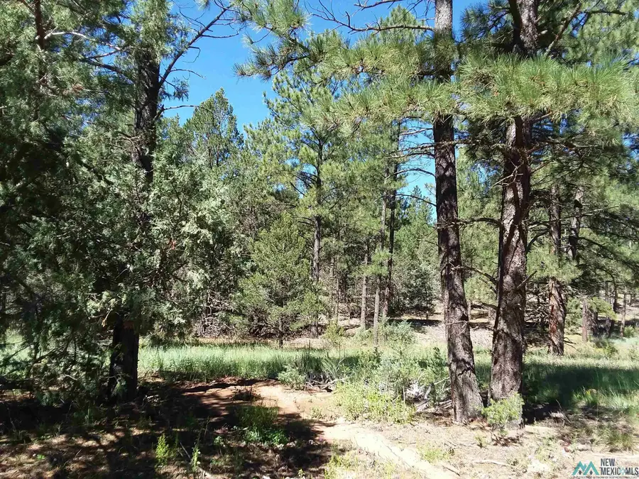 344 Forest Road, Pecos, NM 87552 - #2