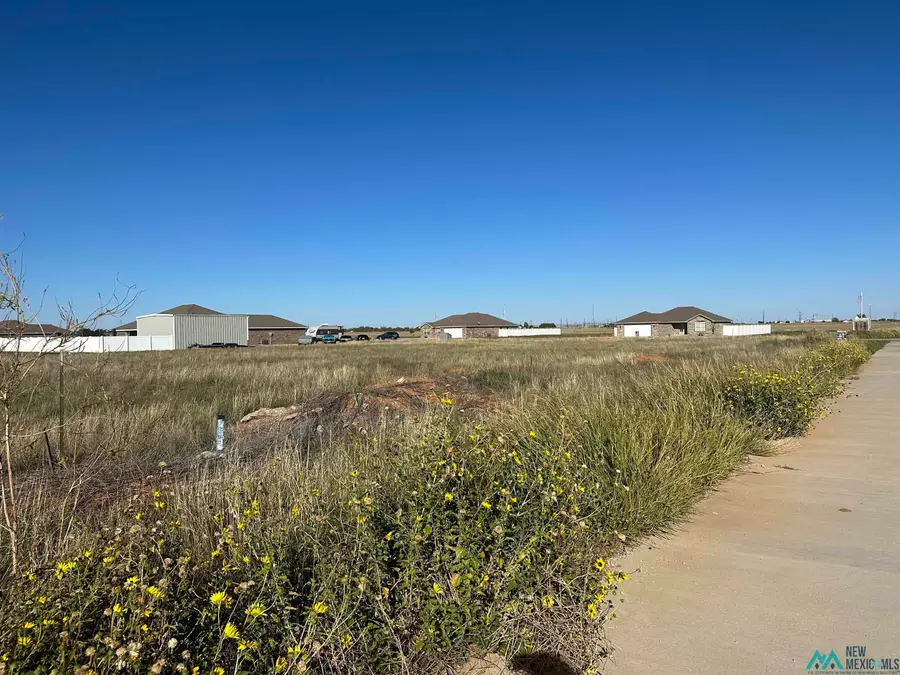 000 Crest Pointe, Portales, NM 88130 - #2
