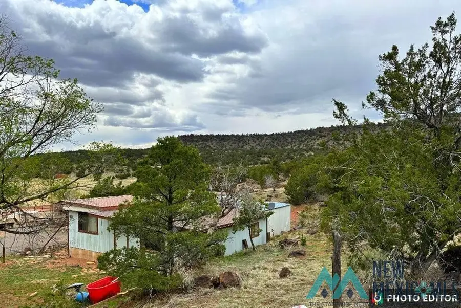 14 Loren Drive, Quemado, NM 87829 - #3