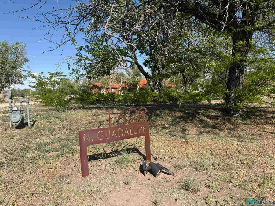 1628 N Guadalupe Street, Carlsbad, NM 88220 - #3
