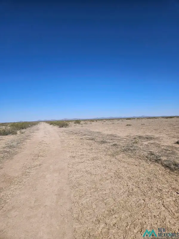 XXX Tyler Rd Se, Deming, NM 88030