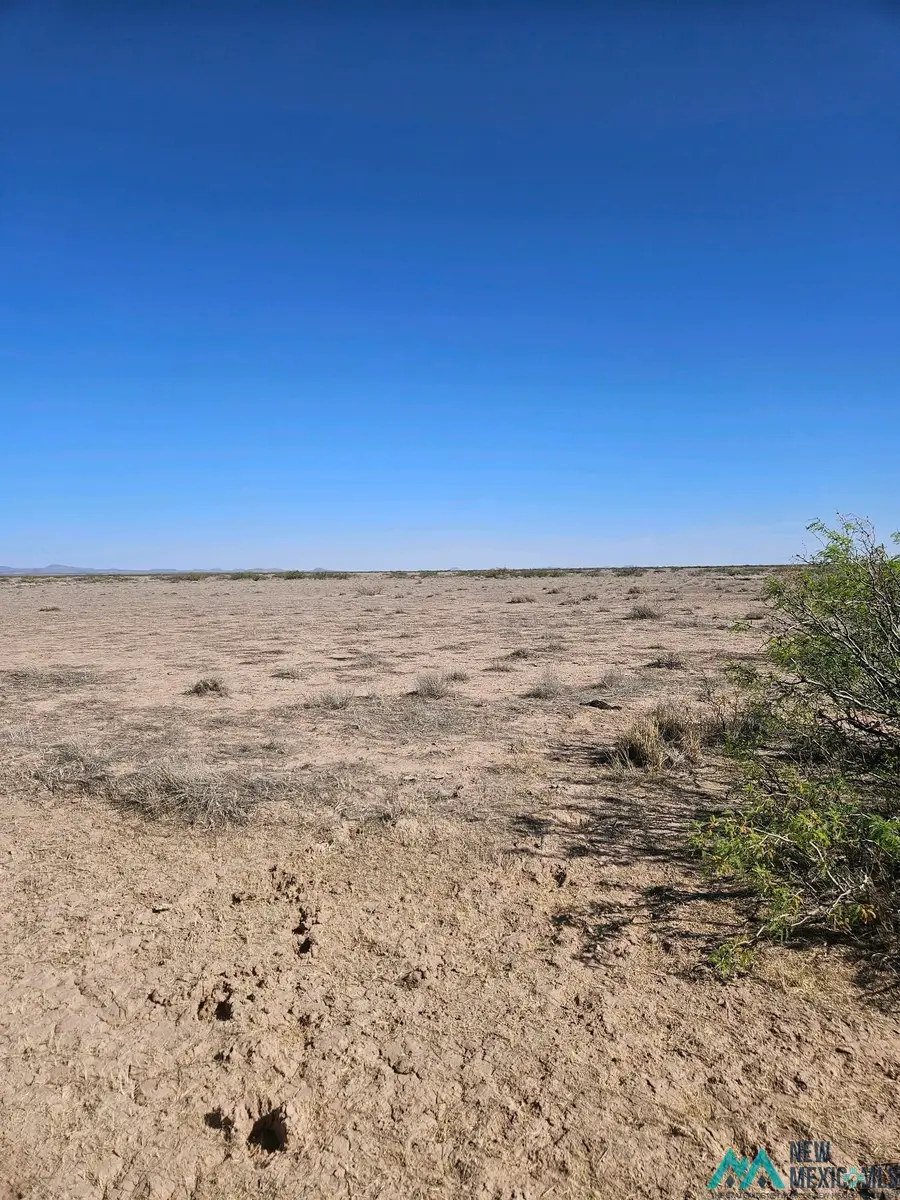 XXX Tyler Rd Se, Deming, NM 88030 - #2