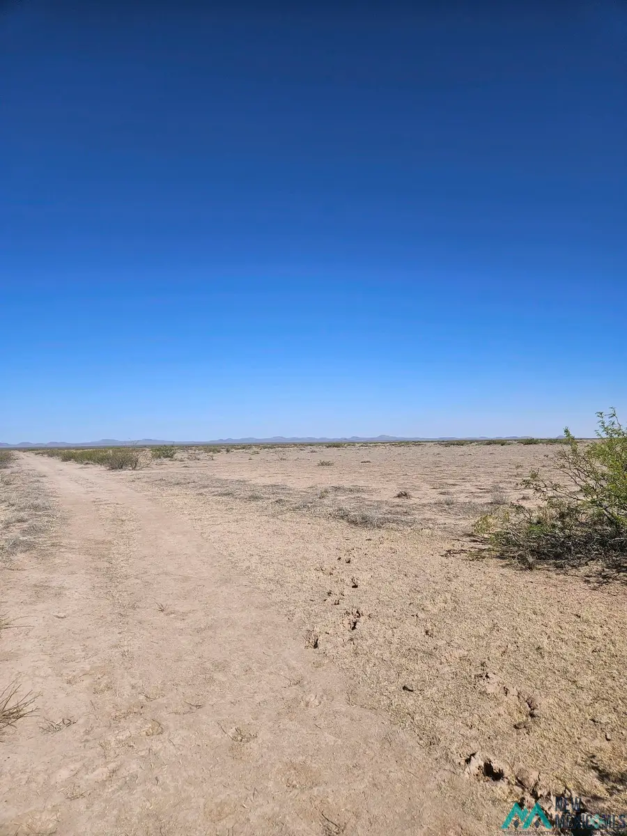 XXX Tyler Rd Se, Deming, NM 88030 - #3