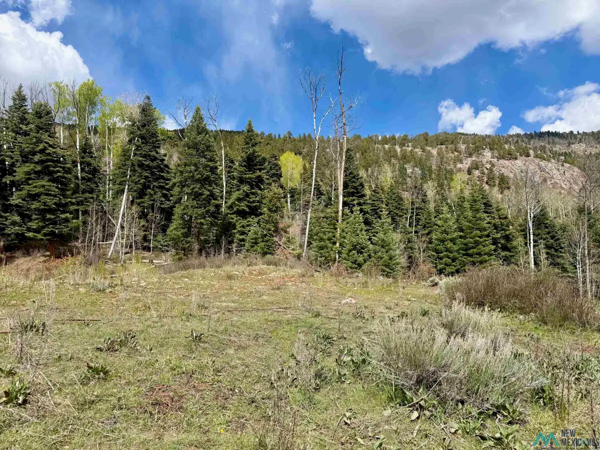 0 Aspen Bluff, Chama, NM 87520 - #1