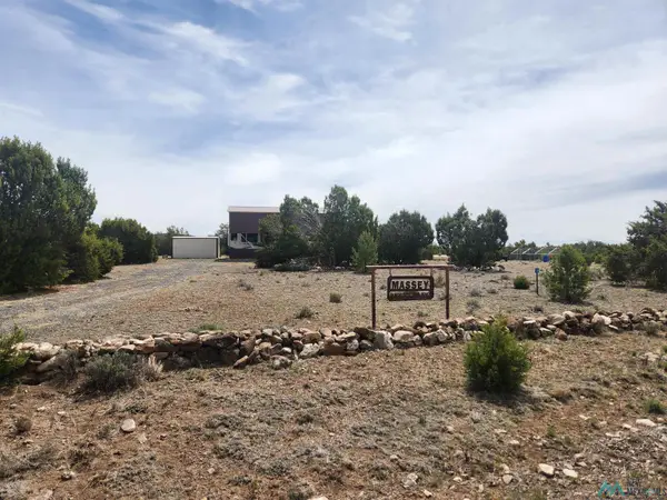 26 Branding Iron Road, Quemado, NM 87829