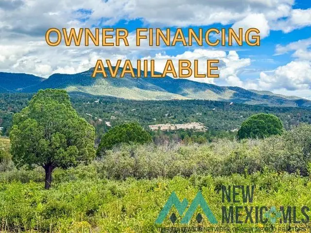 Lot 3 Paradise Valley Road, Timberon, NM 88350 - #1
