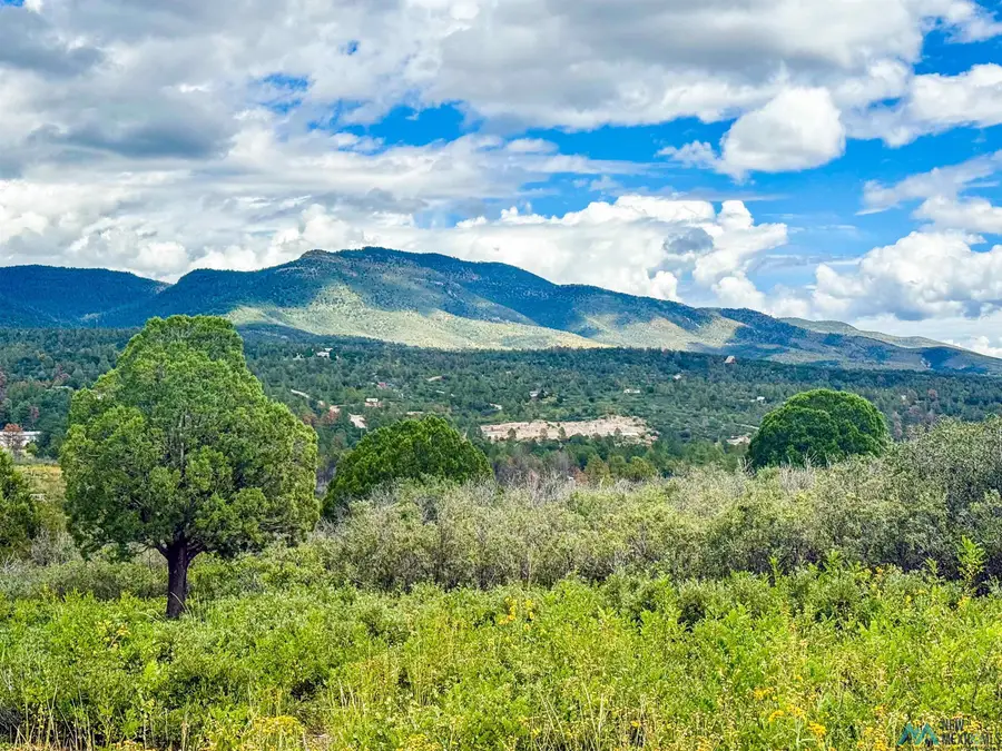 Lot 3 Paradise Valley Road, Timberon, NM 88350 - #2