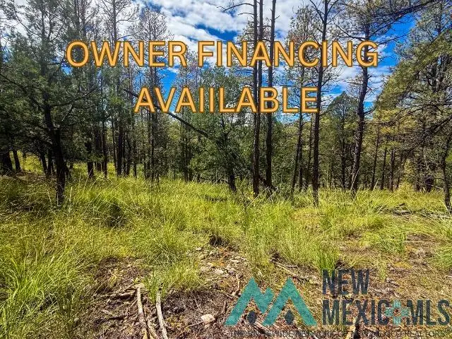Lot 20 Marlin Drive, Timberon, NM 88350 - #1