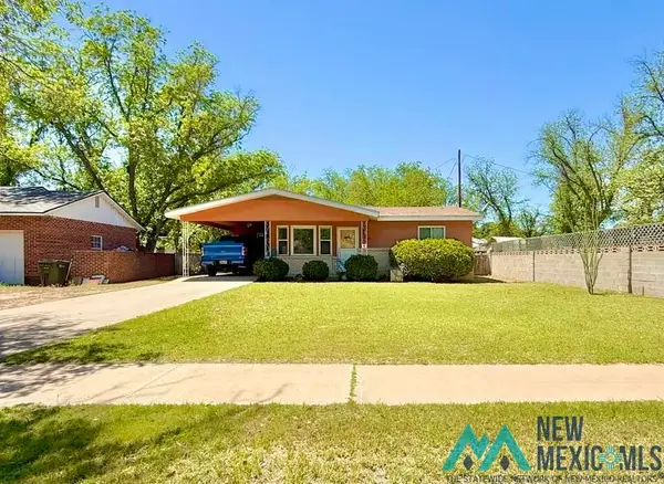 1113 N Eddy Street, Carlsbad, NM 88220