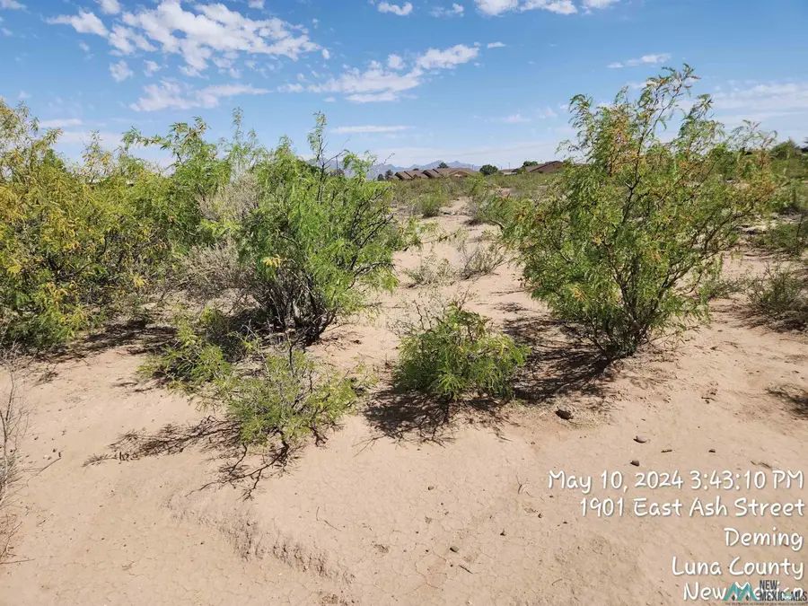 00 Robin Rd Se Road, Deming South, NM 5 - #2
