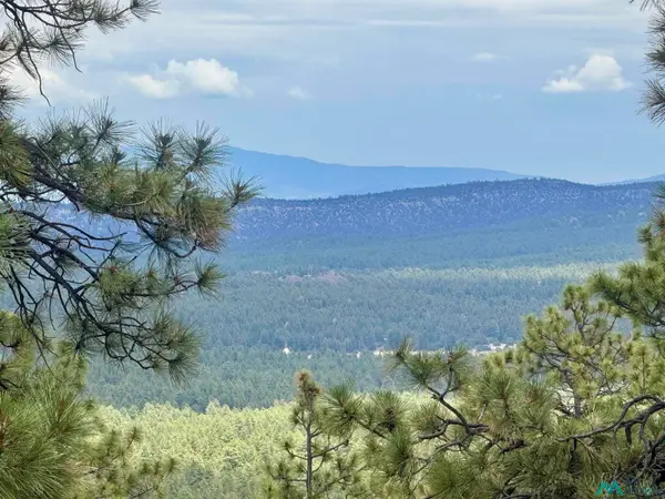 TBD Oso Ridge Lookout Road, Grants, NM 87020