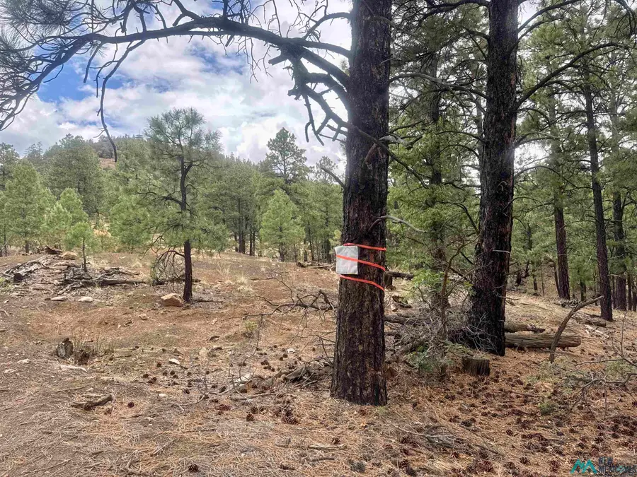 TBD Oso Ridge Lookout Road, Grants, NM 87020 - #3
