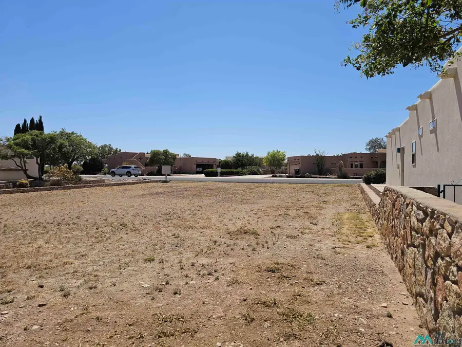 2919 S Sand Trap Rd Road, Deming, NM 88030 - #3