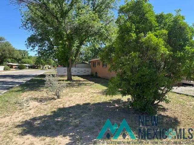 1506 W Ural Drive, Carlsbad, NM 88220 - #3