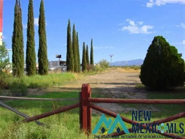 1511 E Pine Street Street, Deming, NM 88030 - #1