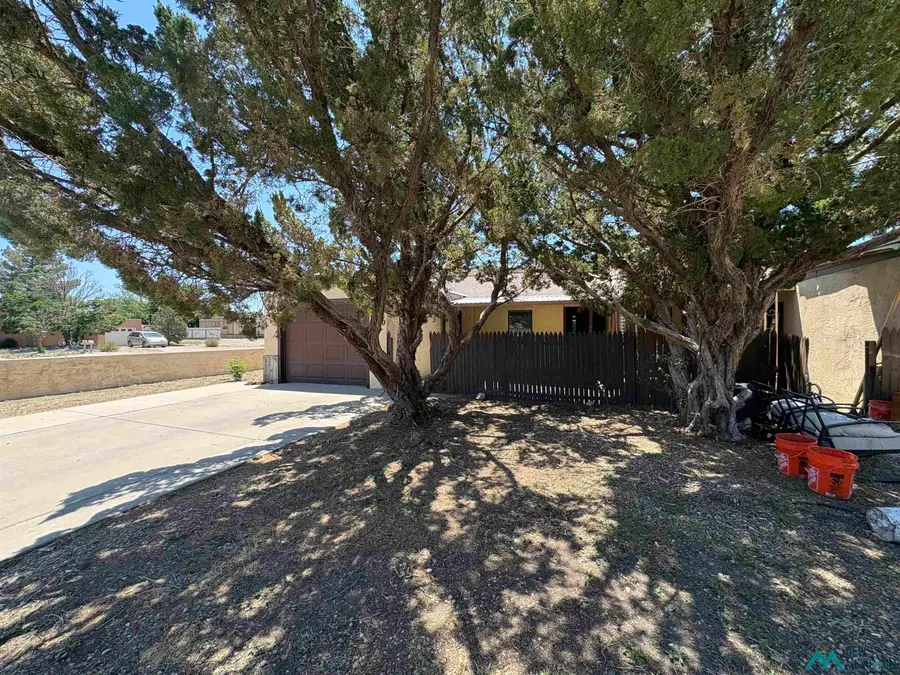 1000 Plaza Del Sol, Roswell, NM 88203 - #2