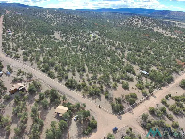 55 Crooked Arrow Drive, Datil, NM 87821