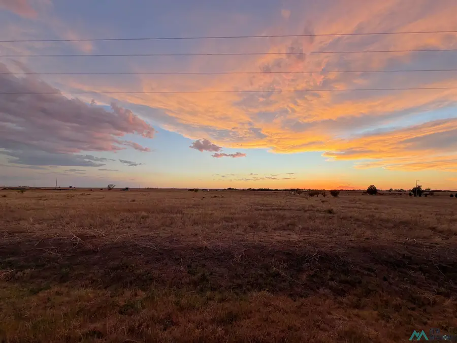 1310 Ryan Road Road, Clovis, NM 88101 - #3