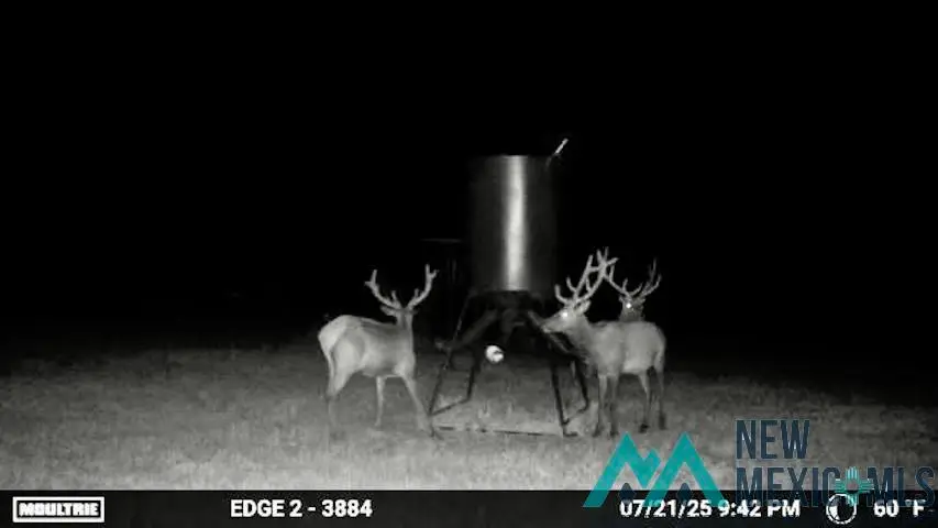 96 & 112, Regina, NM 87017 - #3