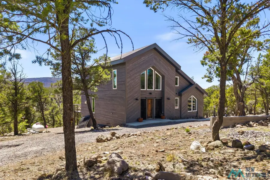 5 Sunrise Ct Road, Quemado, NM 87829 - #2