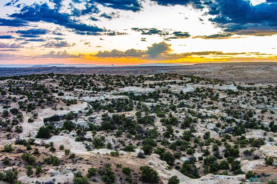 NYA Glade Road, Farmington, NM 87401 - #3