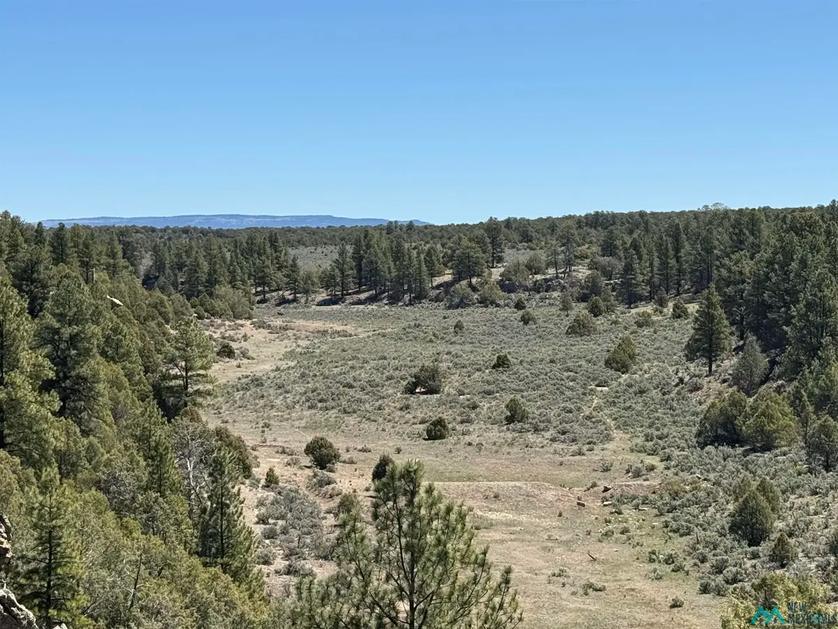 TBD Foredst Service Road 144 Forest, Cebolla, NM 87518 - #1