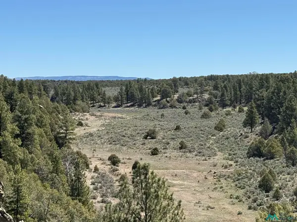 TBD Foredst Service Road 144 Forest, Cebolla, NM 87518