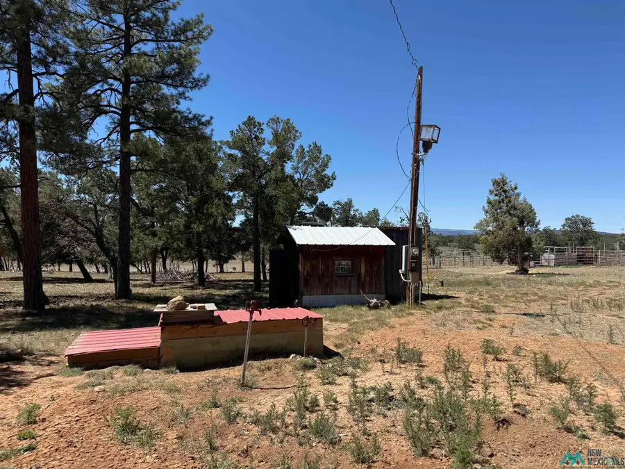 TBD Foredst Service Road 144 Forest, Cebolla, NM 87518 - #2