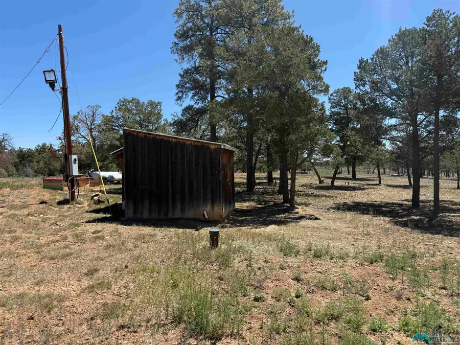 TBD Foredst Service Road 144 Forest, Cebolla, NM 87518 - #3