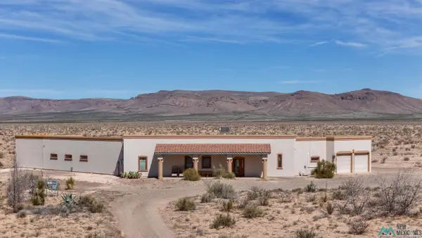 22445 Solo Runway Road, Deming, NM 